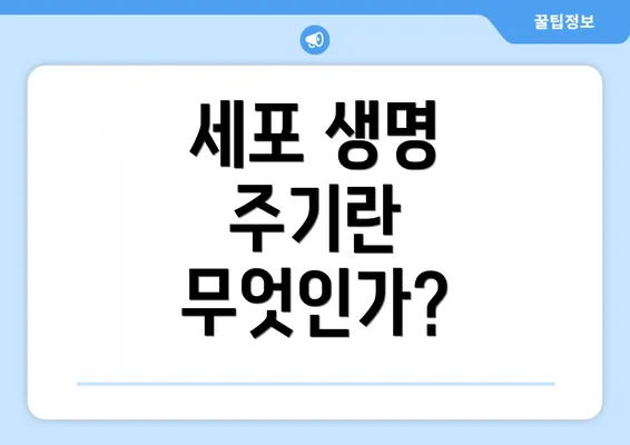 세포 생명 주기란 무엇인가?