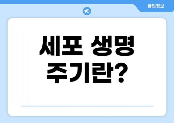세포 생명 주기란?