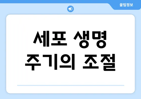 세포 생명 주기의 조절