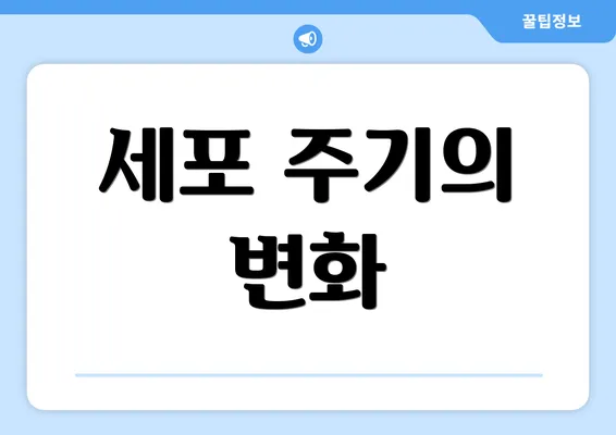 세포 주기의 변화