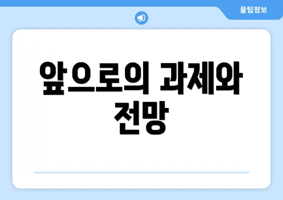 앞으로의 과제와 전망