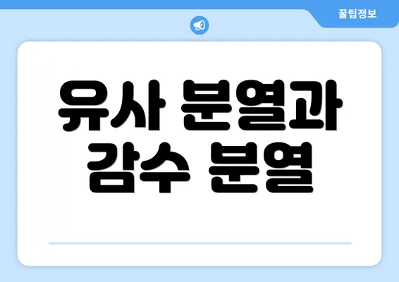 유사 분열과 감수 분열