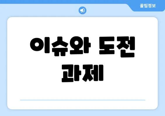 이슈와 도전 과제