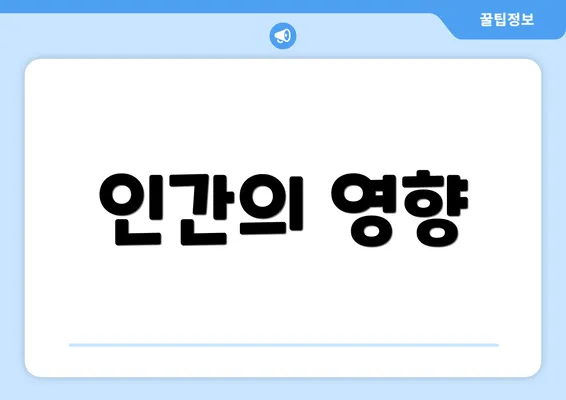 인간의 영향