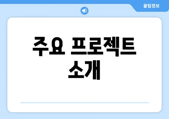 주요 프로젝트 소개