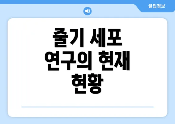 줄기 세포 연구의 현재 현황