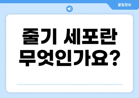 줄기 세포란 무엇인가요?