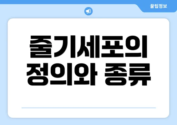 줄기세포의 정의와 종류