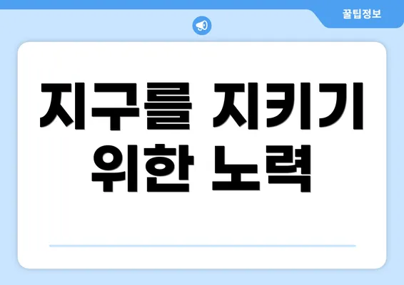 지구를 지키기 위한 노력