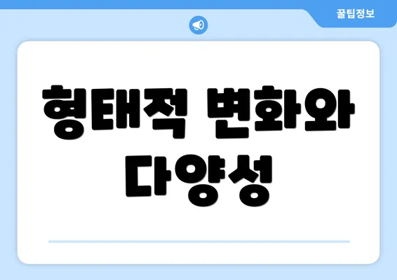 형태적 변화와 다양성