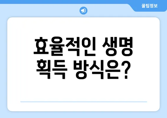 효율적인 생명 획득 방식은?