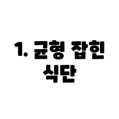 1. 균형 잡힌 식단