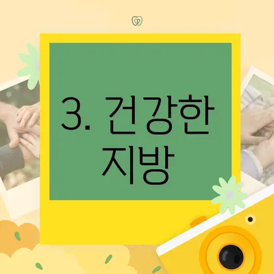 3. 건강한 지방
