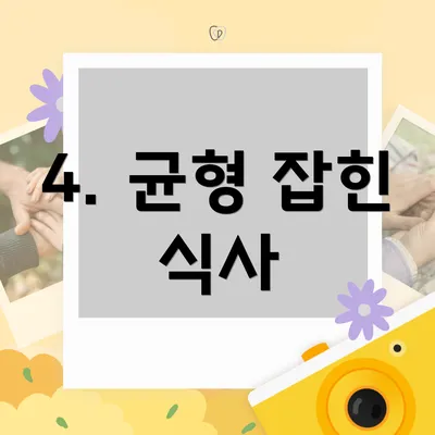 4. 균형 잡힌 식사
