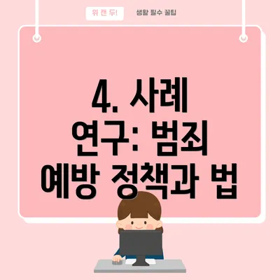 4. 사례 연구: 범죄 예방 정책과 법