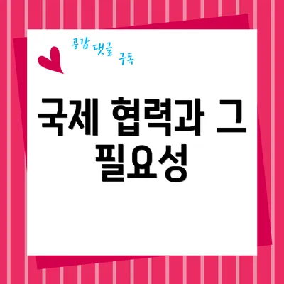 국제 협력과 그 필요성