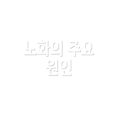 노화의 주요 원인