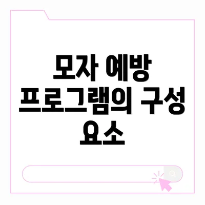 모자 예방 프로그램의 구성 요소