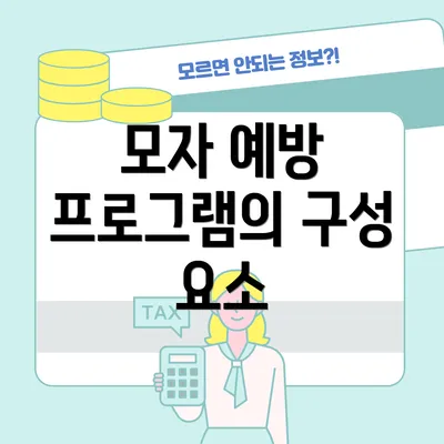 모자 예방 프로그램의 구성 요소