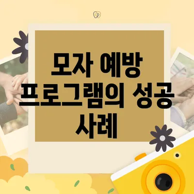모자 예방 프로그램의 성공 사례