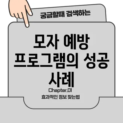 모자 예방 프로그램의 성공 사례