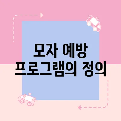 모자 예방 프로그램의 정의