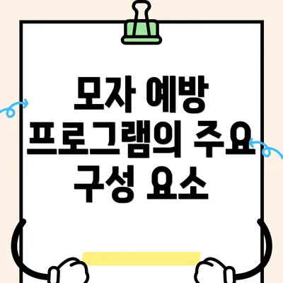 모자 예방 프로그램의 주요 구성 요소