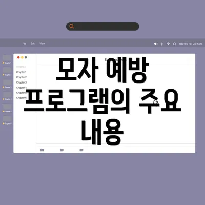 모자 예방 프로그램의 주요 내용