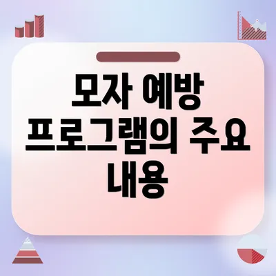 모자 예방 프로그램의 주요 내용