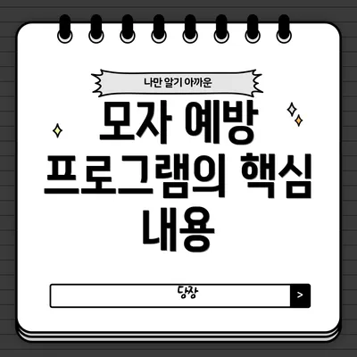 모자 예방 프로그램의 핵심 내용
