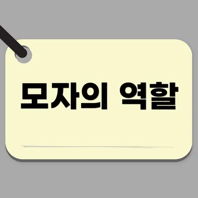 모자의 역할