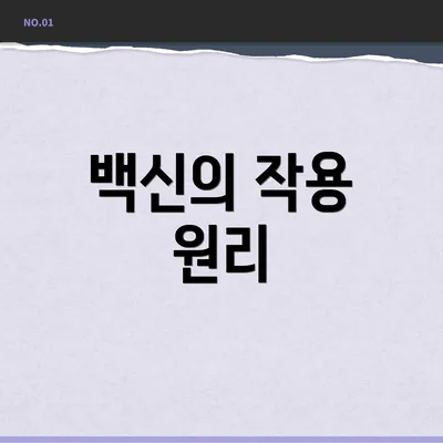 백신의 작용 원리