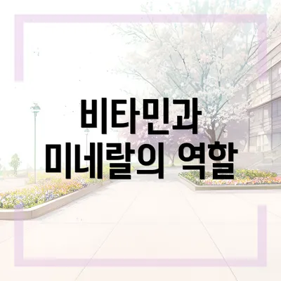 비타민과 미네랄의 역할