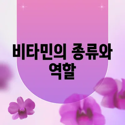 비타민의 종류와 역할