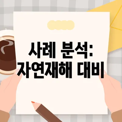 사례 분석: 자연재해 대비