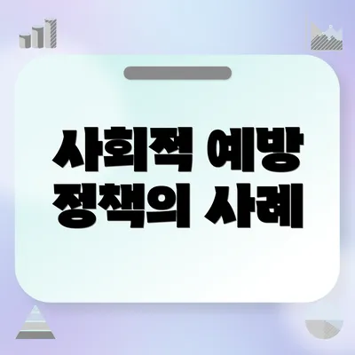 사회적 예방 정책의 사례