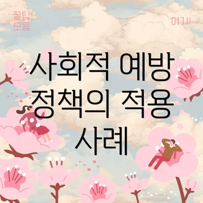 사회적 예방 정책의 적용 사례