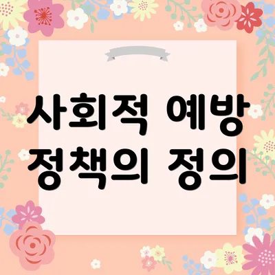 사회적 예방 정책의 정의