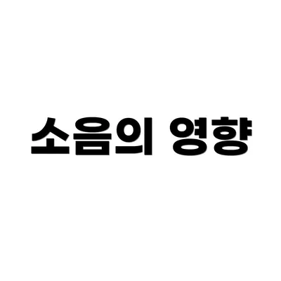 소음의 영향