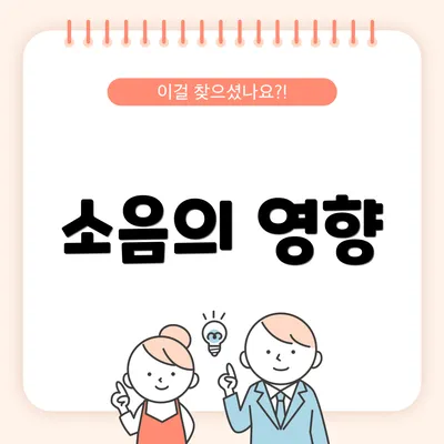 소음의 영향