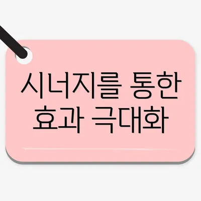 시너지를 통한 효과 극대화