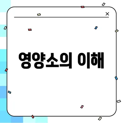 영양소의 이해