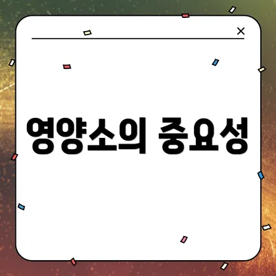 영양소의 중요성