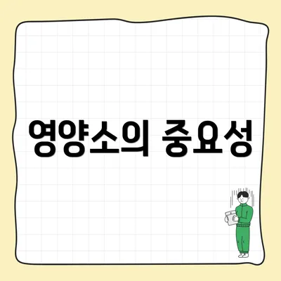 영양소의 중요성