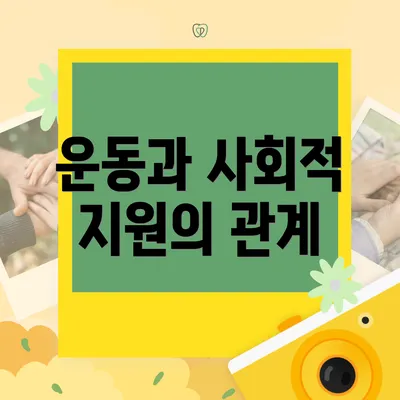 운동과 사회적 지원의 관계
