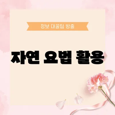 자연 요법 활용