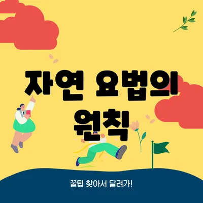 자연 요법의 원칙