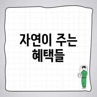 자연이 주는 혜택들