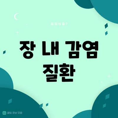 장 내 감염 질환