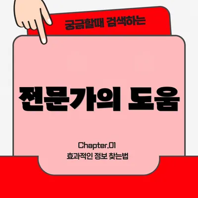 전문가의 도움